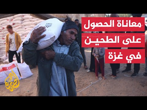 "الأونروا" تقوم بتوزيع كيس طحين لكل عائلة فلسطينية يكون عدد أفرادها أكثر من 10 في ظل ظروف حياة قاسية