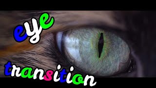 eye transition | filmorapro