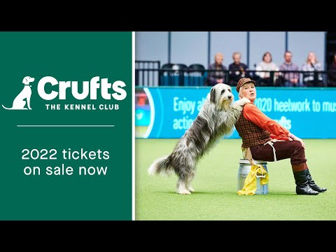 Tickets for Crufts 2022 are on sale NOW!