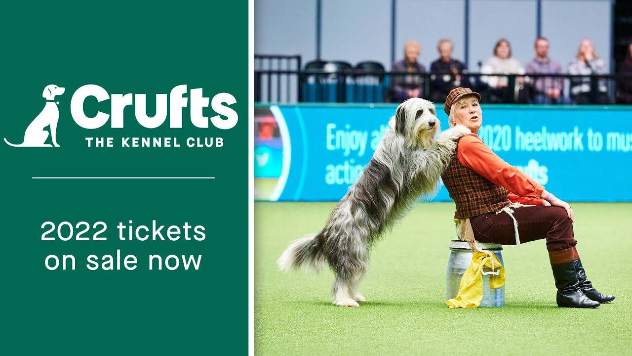 Tickets for Crufts 2022 are on sale NOW! YouTube