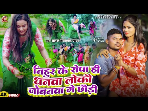 #Video | धना रोपनी गित स्पेशल | #Bhulan_Piyakkad निहुर के रोप ही धनवा लोकौ जोबनवा गे छौडी मगही Song