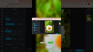 Ai Background Removal In Seconds Pixlr Magic