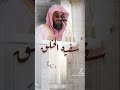 سفيه الخلق سفيه الخلق