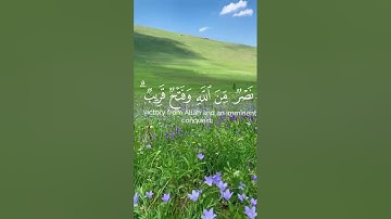 و أخرى تحبونها نصرٌ من الله قريب🌷💗 | سورة الصف - الشيخ احمد خضر .