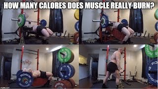 How Much Does A Lbs Of Muscle Increase Metabolic Rate?!!!