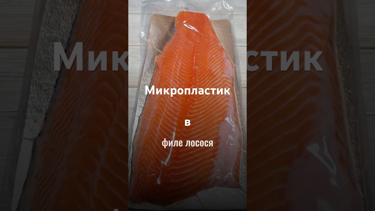 Микропластик в рыбе которую ты покупаешь?