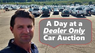 Famous Dealer Only Auto Auction Access Net Worth