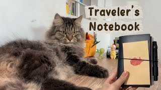 Black Traveler's Notebook Passport Setup & Flip-Through (2026) 🖤  | with cats