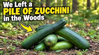 We Left a PILE OF Zucchini in the Woods... Here's What Happened!