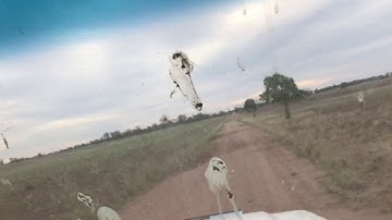 Agopen gps with auto steer and light bar  in Toyota Land Cruiser Australia