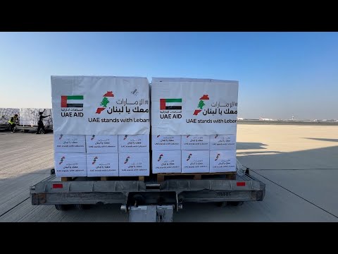 وصول الدفعة الثانية من هدية أم الإمارات إلى أمهات لبنان