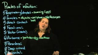 Epidemiology part 2