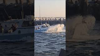 Stacked Up Is Built For Rough Seas -  Point Pleasant Beach New Jersey