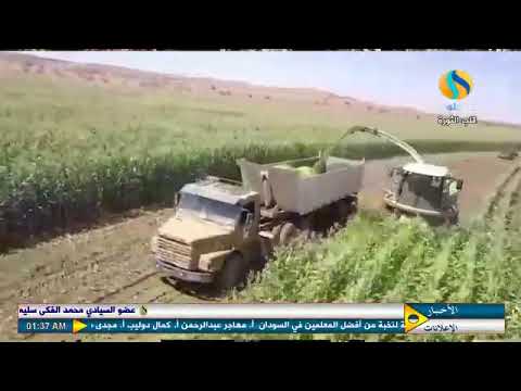 انتاج أعلاف الحيوان ندوة السيلاج مجمع الرضوان للانتاج الحيواني المجلة الزراعية