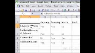 Microsoft Office Excel 2003 About Excel  Data Entry