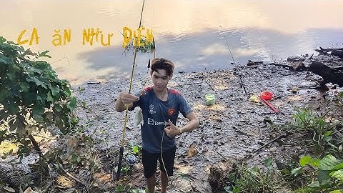 câu cá sông Bạch đằng Bình Dương toàn cá mè