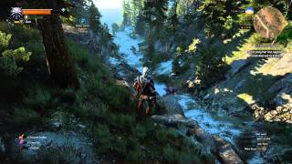 The Witcher 3 PC ULTRA + Nvidia Hair - lvl 13 Skellige Defeating Armored Arachas - WinD