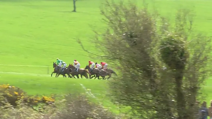 P2P - Killeagh 13 April 2022 - R1 Tatts NH, Mag & ...