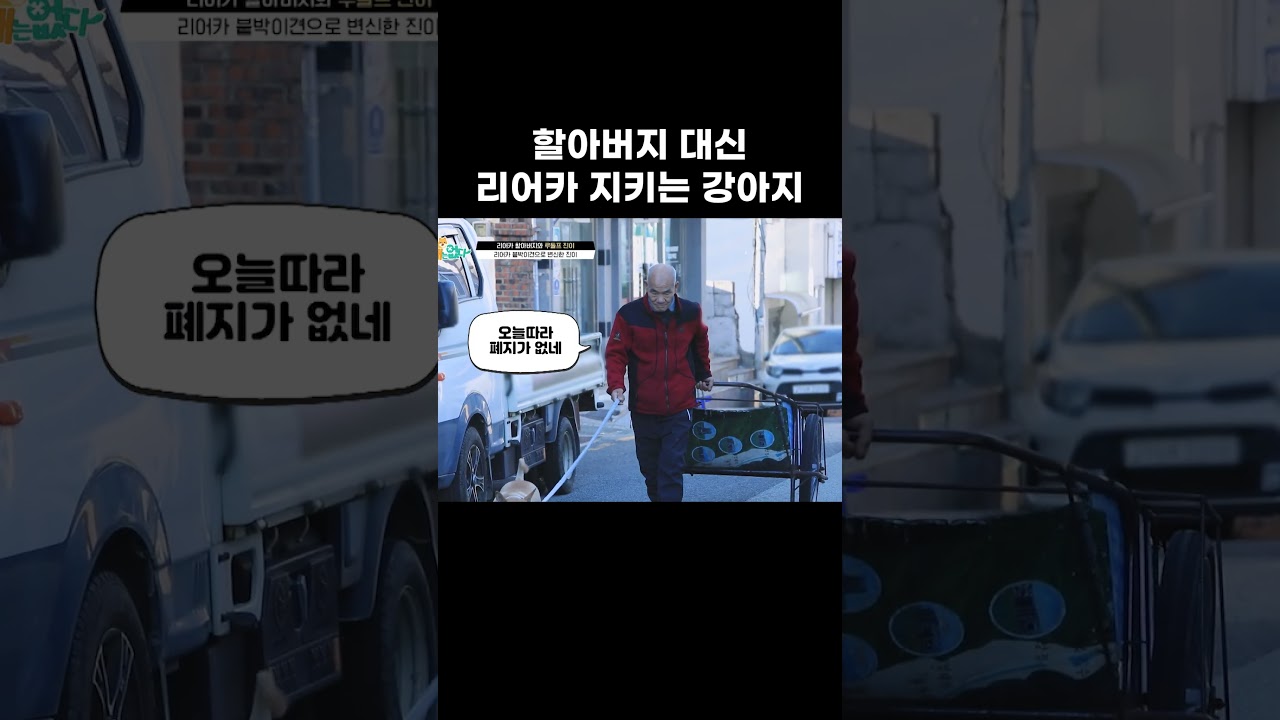 할아버지 대신 리어카 지키는 강아지 #왜그러냥귀엽개 #shorts