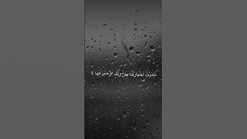 سورة الزلزلة بصوت ماهر المعقيلي حالات واتس