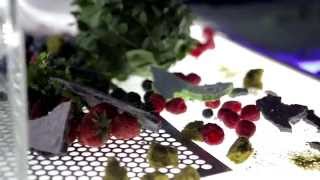 VMG dessert show | VMG dessert show with liquid nitrogen | Alfas Ivanauskas