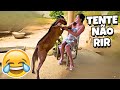 TENTE NÃO RIR: VÍDEOS ENGRAÇADOS 2025 E MEMES - #50