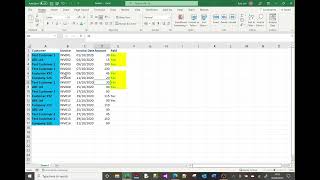 MS Excel tutorial on font and cell formatting (colours, border, format painter etc)