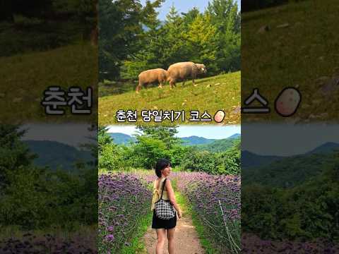 강원도 춘천 당일치기 여행💚#서울근교여행