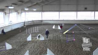 Cailleigh Saturday Novice Fast Miniature Bull Terrier Club Akc Dec. 8, 2013