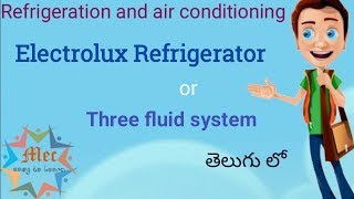 electrolux refrigerator or three fluid system