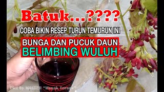 REDAKAN BATUKMU DENGAN MINUMAN INI ‼ MINUMAN HERBAL BUNGA BELIMBING WULUH