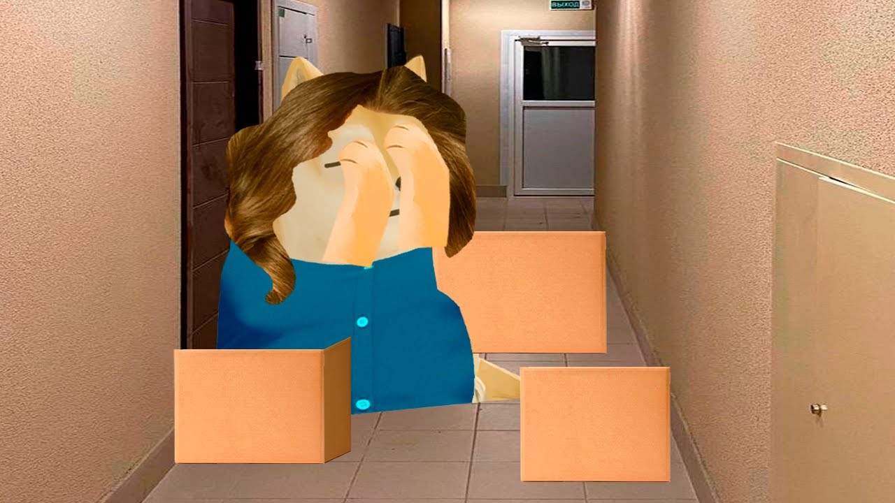 Me llamas perdedor, ahora veras la vida sin mi dinero