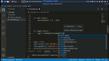 CREATING A TEXT EDITOR USING TKINTER IN PYTHON |BY THE VAST