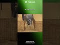 My trading journey