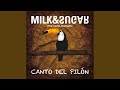 Canto del piln original mix