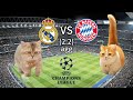 Cat memes football  real madrid vs bayern munich champions league 2324 semifinal highlights