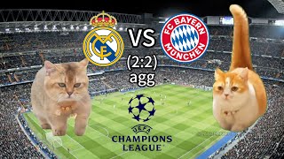 CAT MEMES FOOTBALL - Real Madrid VS Bayern Munich Champions League 23/24 Semi-Final Highlights