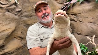 Rare Albino Alligator Food Vacuum!