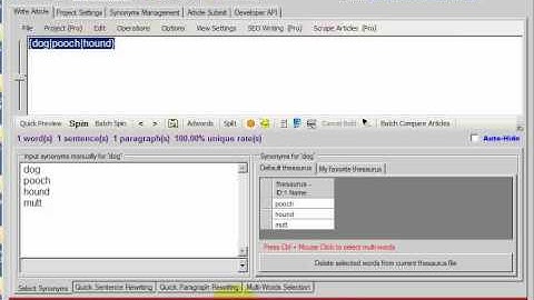SpinnerChief Tutorial - Thesaurus Creation