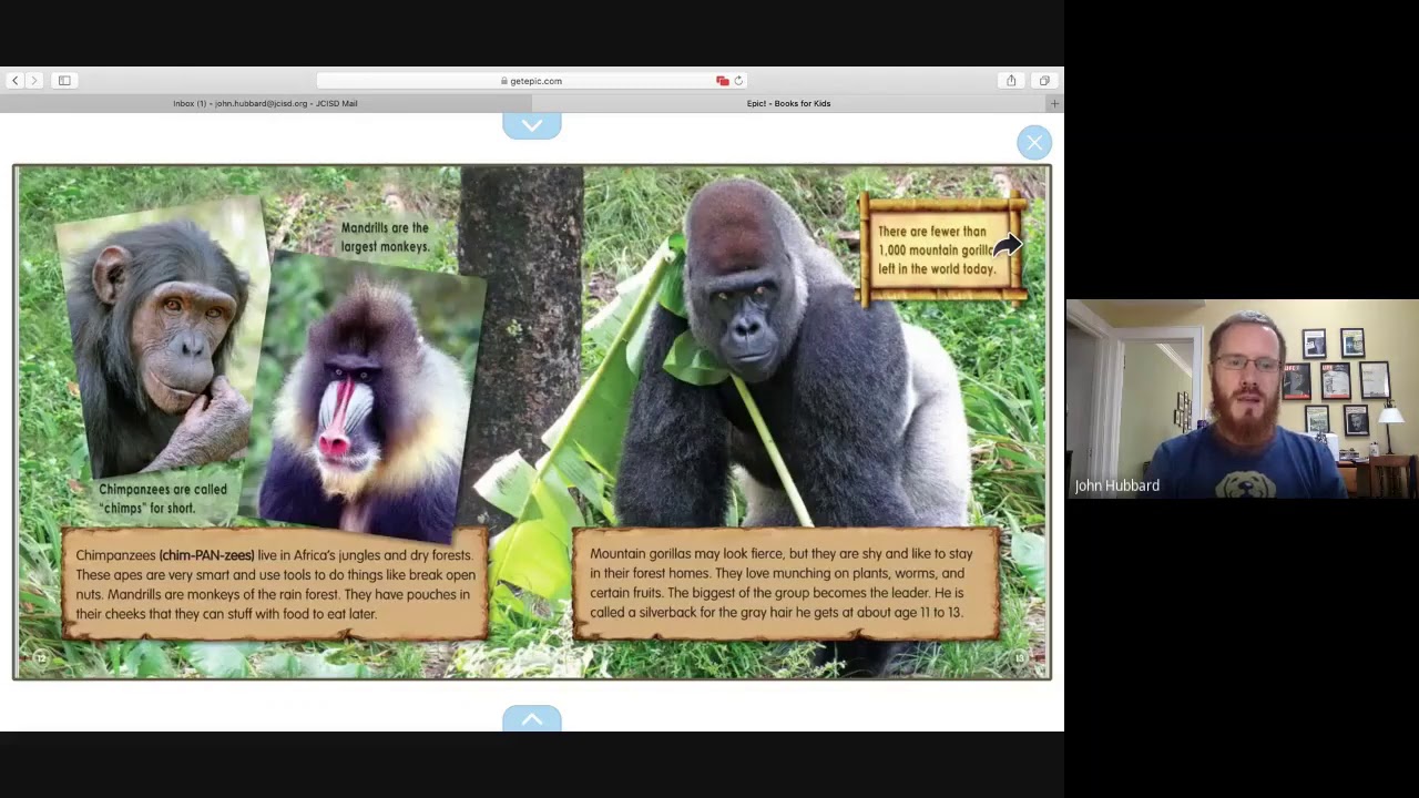 Animals of Africa read aloud YouTube