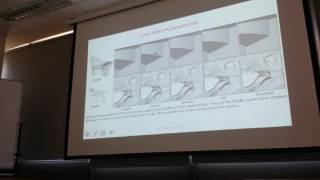 Screened Poission Surface Reconstruction