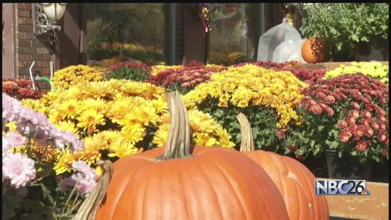 Protecting Plants from the Hard Freeze Coming Our Way YouTube