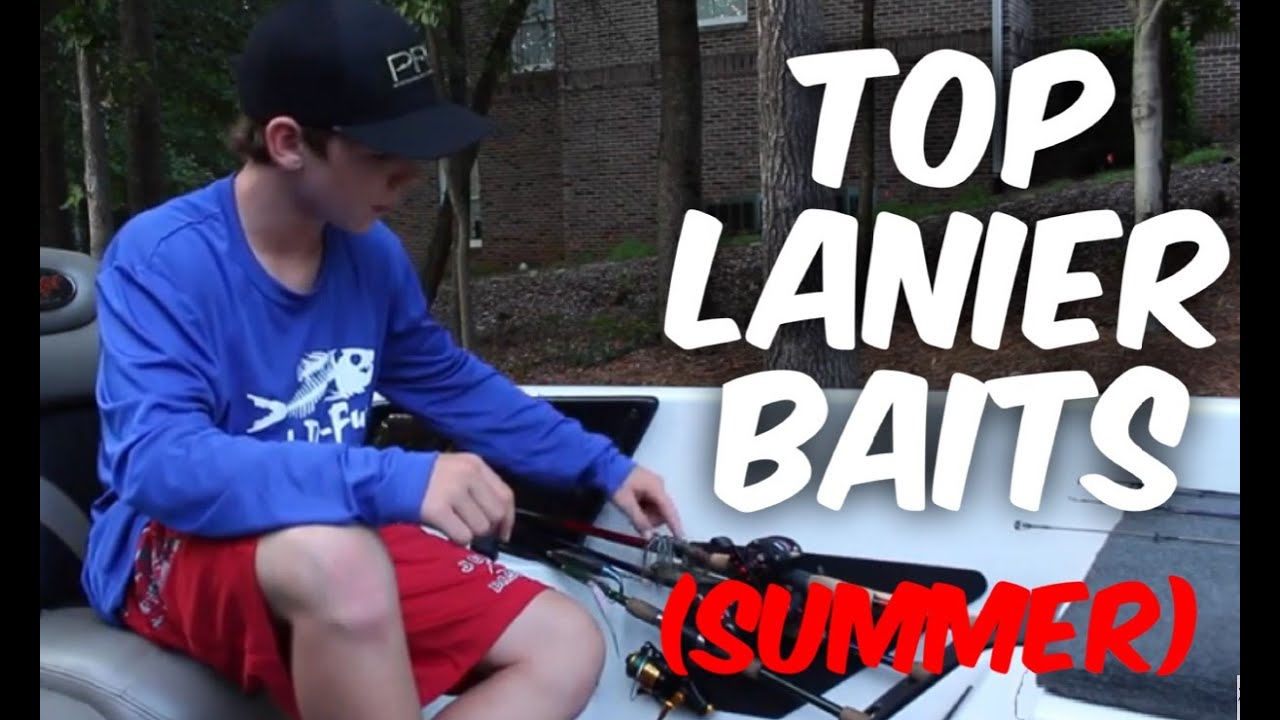 BEST LAKE LANIER BAITS (Summer) Brush Pile Fishing YouTube