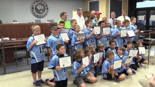 Lower Township Council Meeting 6 6 2016