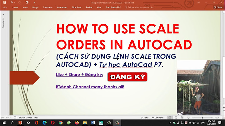 Hướng dẫn cách đặt lệnh scale order