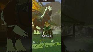 Did you notice this Twilight Princess Easter Egg in Breath of the Wild?