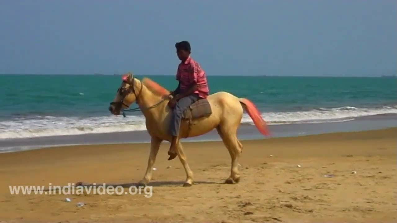 Nagore beach  Nagapattinam  Tamilnadu