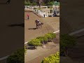 【競馬学校】競馬学校の生活を覗いてみよう！～実技訓練編～ | JRA公式 #shorts