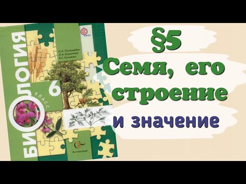 Краткий пересказ §5 Семя, его строение и значение. Биология 6 класс Пономарева