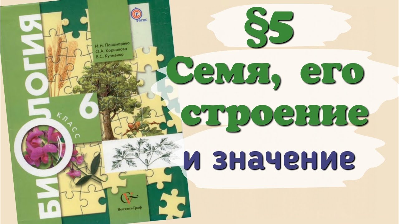 Биология 6 класс Пономарева. Биология 6 класс Солодова. Биология 6 класс ютуб Пономарев. Семя 6 класс биология презентация.